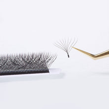 Load image into Gallery viewer, 10D Blossom eyelash extensions