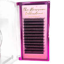 Load image into Gallery viewer, 8D Blossom eyelash extensions
